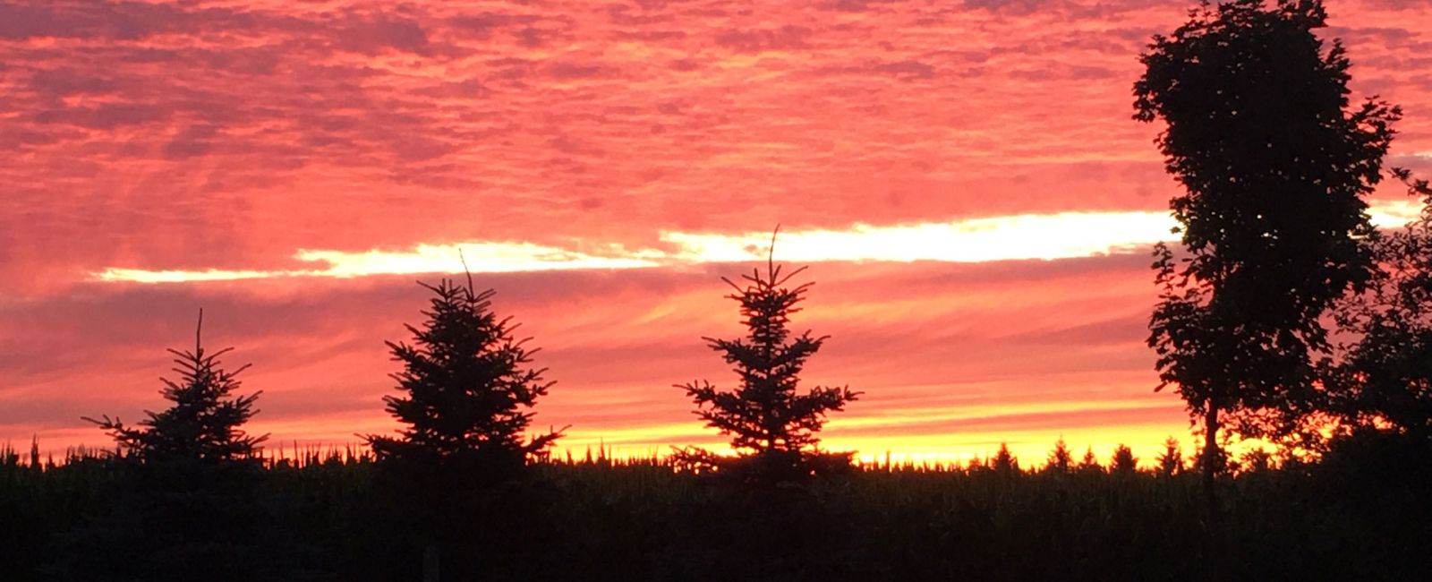 Beautiful Huron County sunset with sky full of red colours