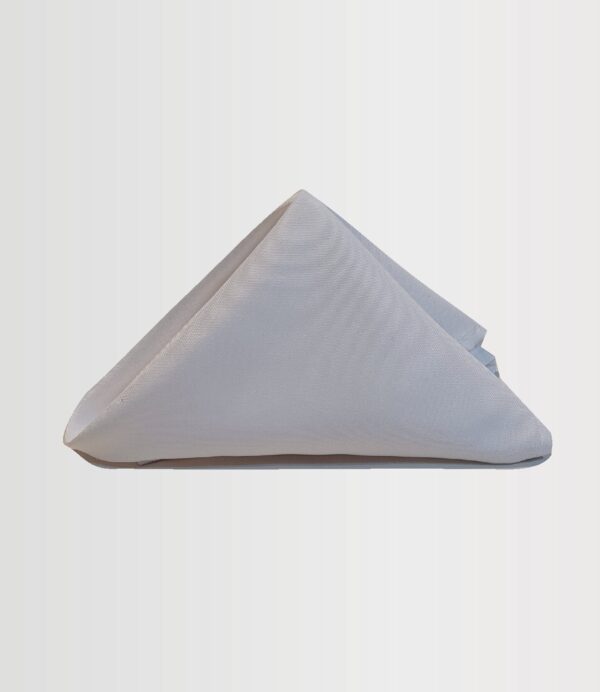 folded napkin white